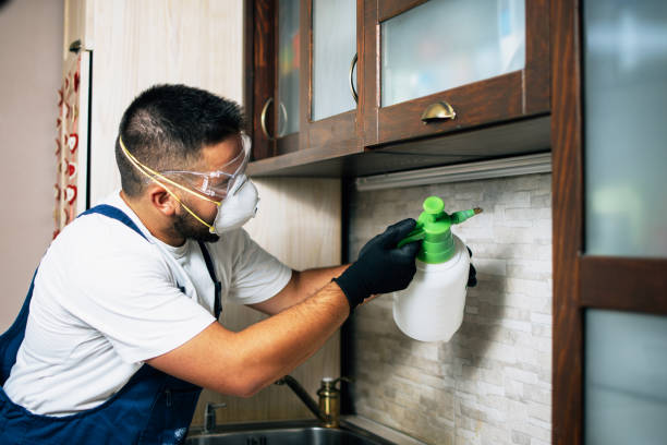 Best Commercial Pest Control Services  in Chelsea, AL