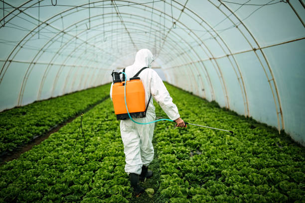 Best Mosquito Control Services  in Chelsea, AL