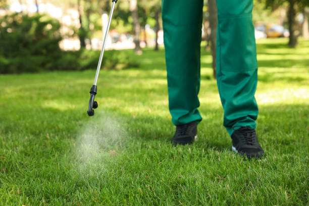 Best Exterminator Services  in Chelsea, AL