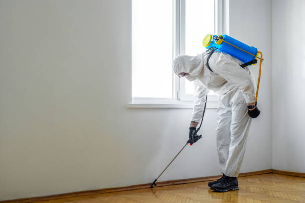 Pest Prevention Services in Chelsea, AL