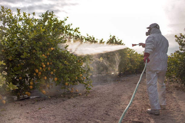 Best Affordable Pest Control Services  in Chelsea, AL