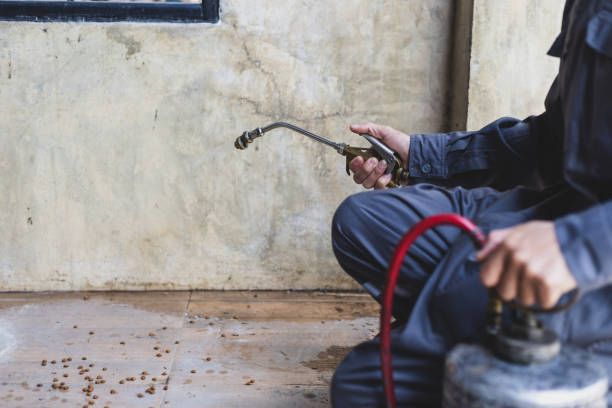 Best Pest Control Near Me  in Chelsea, AL